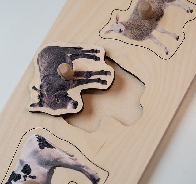 Montessori grasping puzzle with wild animals/farm animals